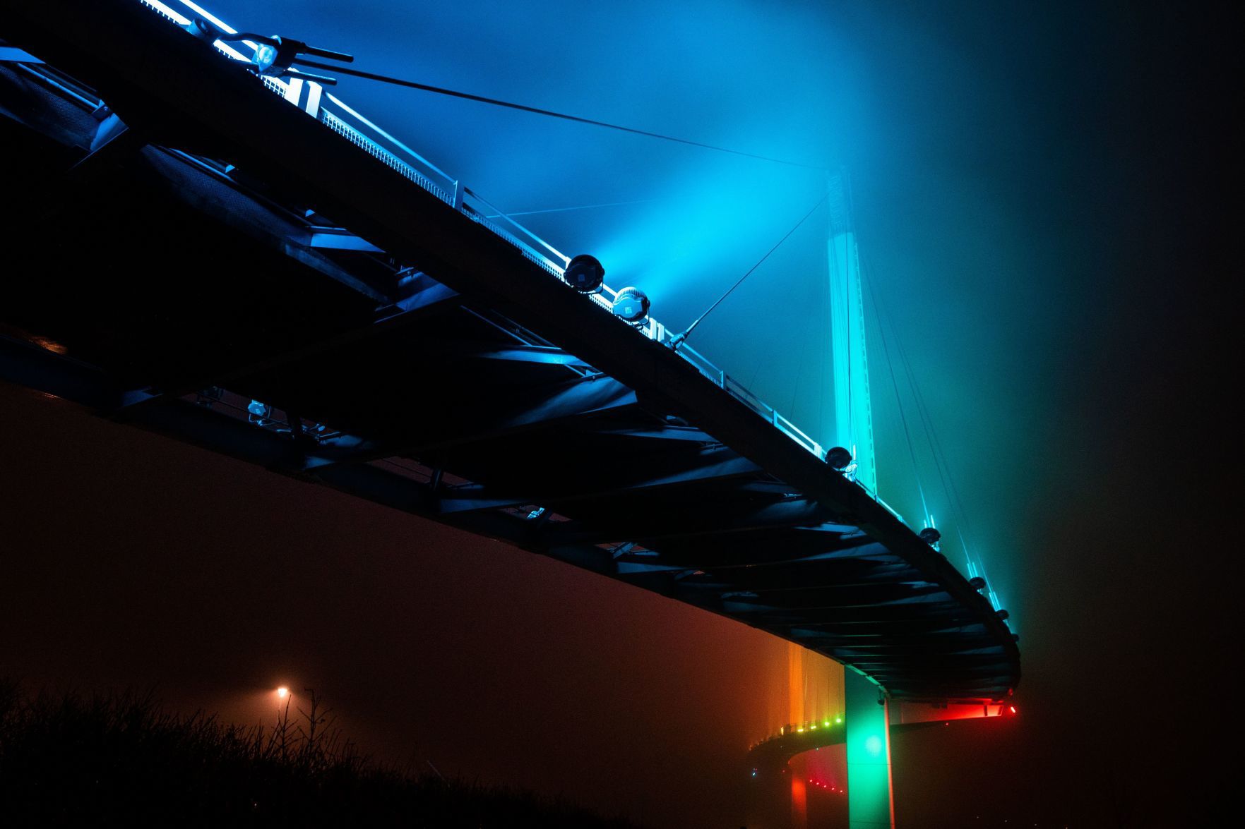 Foggy Bob
